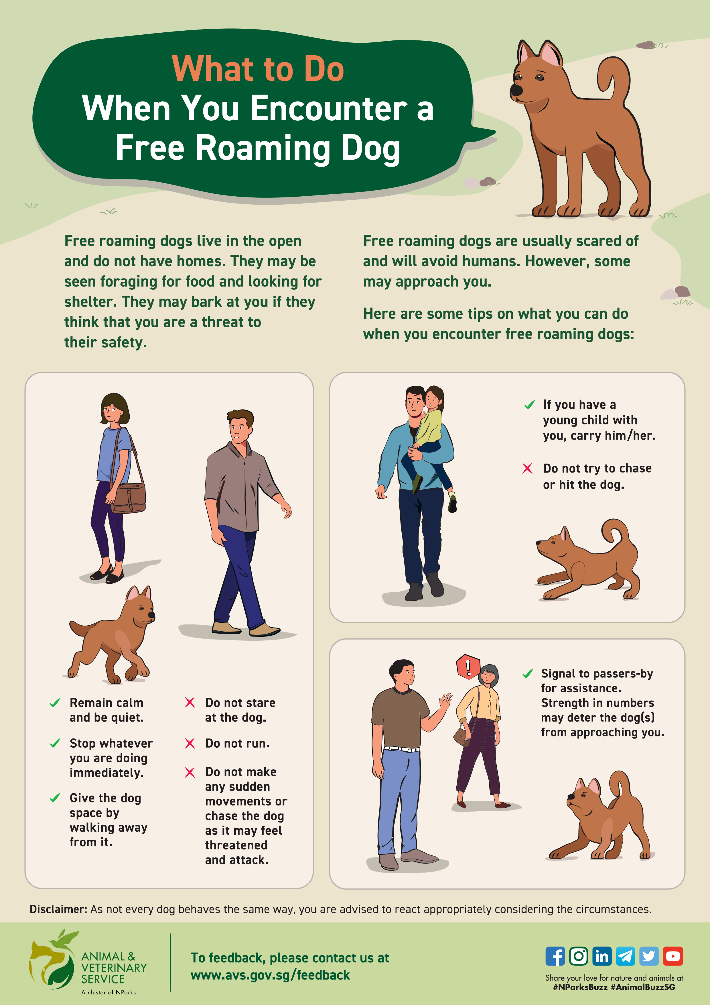 An infographic titled What To do when you encounter a free roaming dog